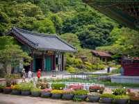 A Scenic Tour to Bongeunsa Temple