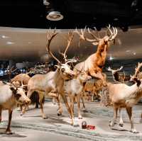 Natural History Museum - Shanghai