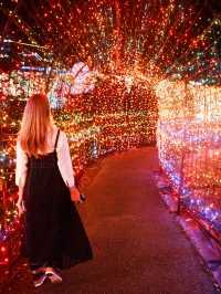 ✨🌈 伊豆ぐらんぱる公園「グランイルミ」日本屈指の体験型イルミネーション！ 🌈✨