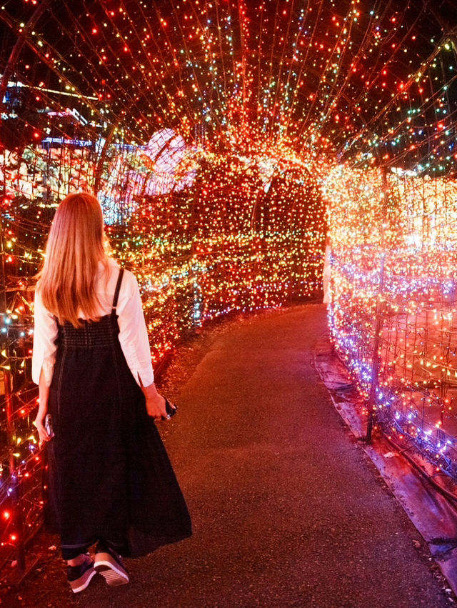 ✨🌈 伊豆ぐらんぱる公園「グランイルミ」日本屈指の体験型イルミネーション！ 🌈✨