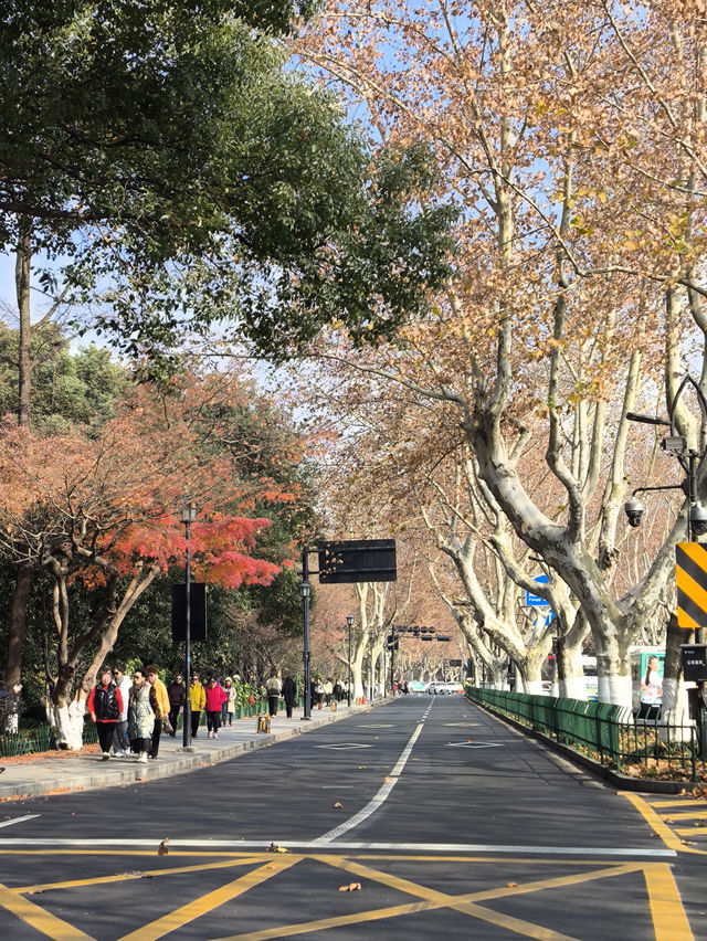 Morning walk at West Lake, Hangzhou