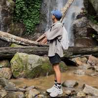 น้ำตกห้วยตึงเฒ่า: น้ำตกกลางป่าในเชียงใหม่ 🌳