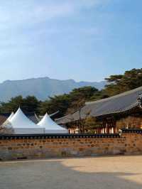 🌿 고즈넉한 사찰 데이트, 통도사