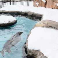 A Days in Asahikawa