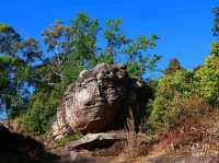 เส้นทางศึกษาธรรมชาติ ผาชูธง - ลานหินปุ่ม 