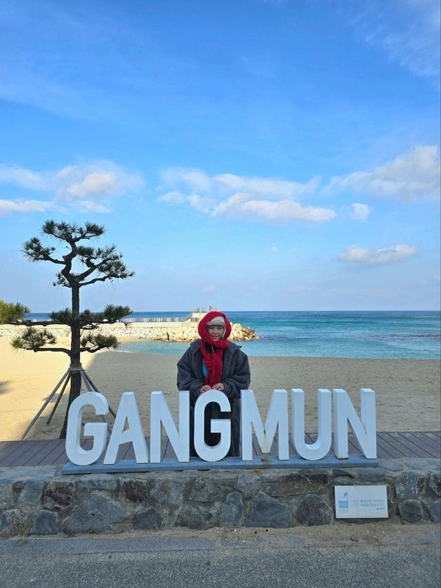 겨울바다 매력가득한 강릉여행필수코스💜
