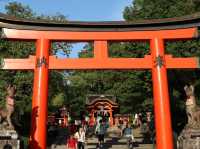 Trail of a Thousand Gates: Discover Fushimi Inari Shrine