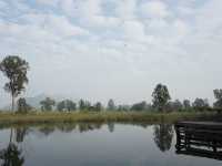 Hong Kong’s Hidden Wetlands: Our Nam Sang Wai Cycling Trip