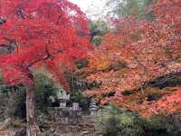 A Symphony of Colors —  The Nison-in Temple of Arashiyama