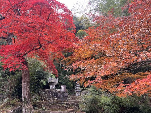 A Symphony of Colors —  The Nison-in Temple of Arashiyama
