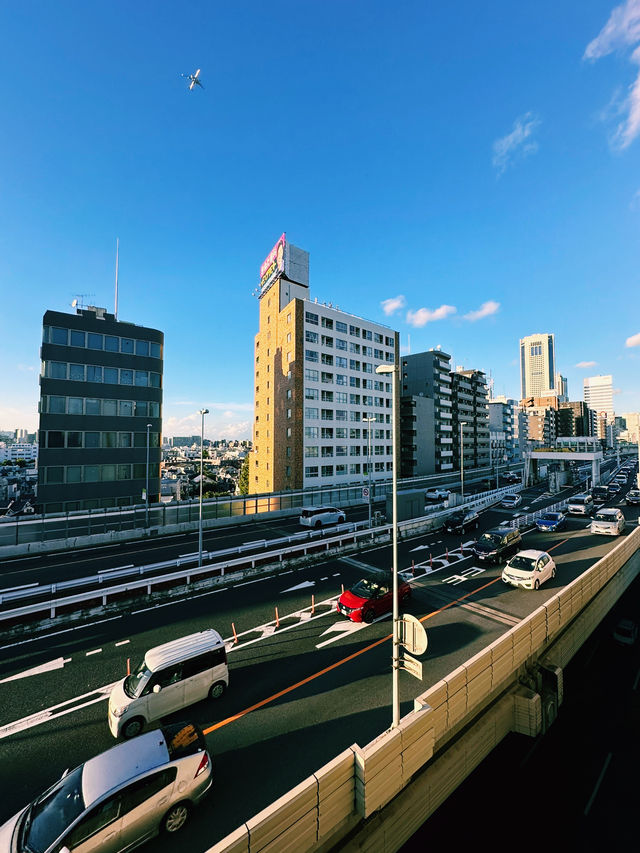 Tranquility in Tokyo: Hatagaya’s Hidden Charm