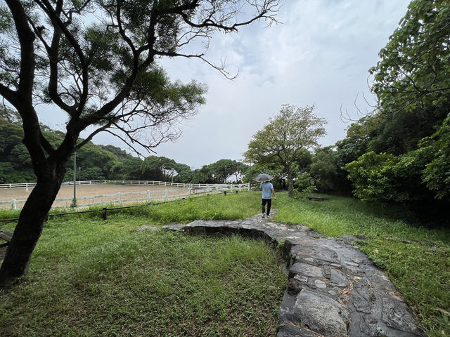 探索龍蝦灣·情人節的靜謐海灘🌅💕