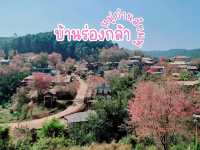 บ้านร่องกล้า พิษณุโลก หมู่บ้านสีชมพู