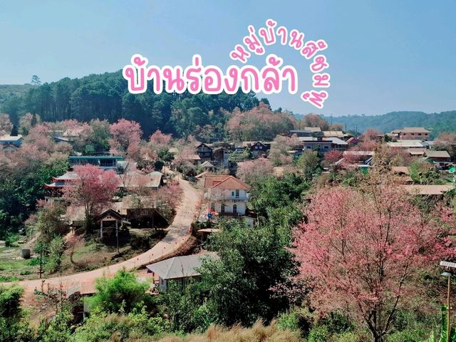 บ้านร่องกล้า พิษณุโลก หมู่บ้านสีชมพู