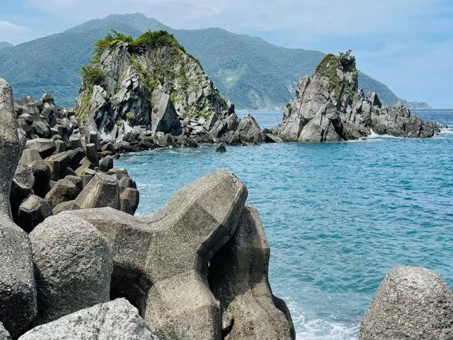 粉鳥林秘境：宜蘭的私房角落，每次來都沉醉其中