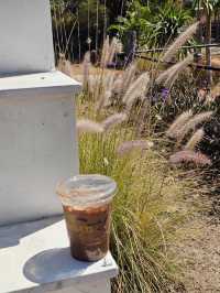 บางรักคาเฟ่ ณ วังน้ำเขียว