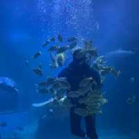 【中国/福州/左海海洋ワールド】