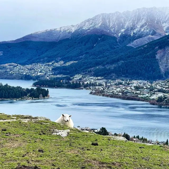 Panoramic Paradise: Deer Park Heights in Queenstown