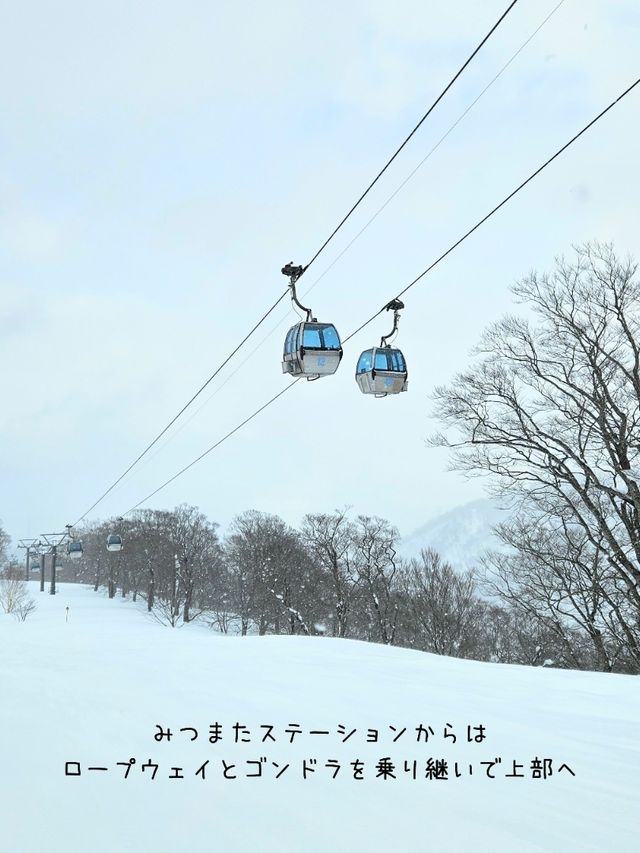 【新潟／南魚沼】雪質極上！パウダーが楽しい「かぐらスキー場」⁡