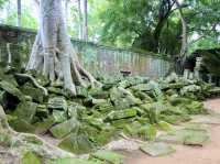 Where Nature and History Intertwine: Ta Prohm Temple 