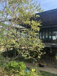 คาเฟ่กางโต้งลำปาง