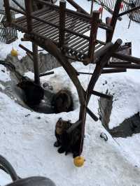 【北海道】1泊2日で登別温泉に行ってみた♨️❄️