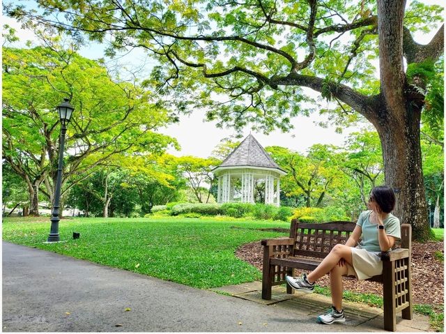 Singapore : Forest & City