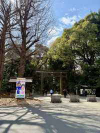 The Perfect Stroll: Meiji Jingu & Jingu Gaien