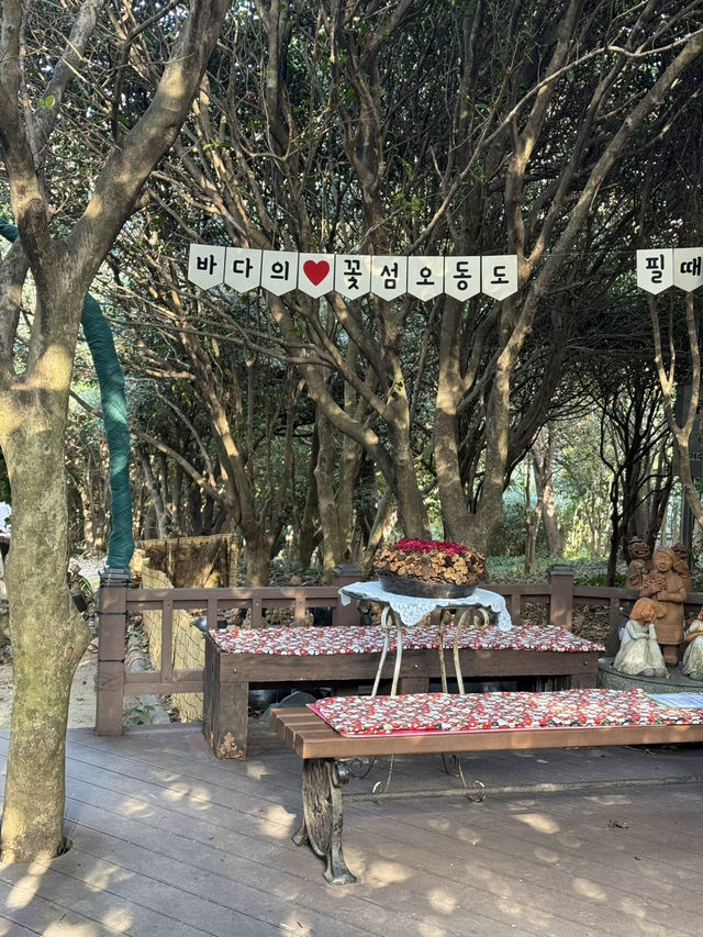 겨울 여수 여행지 오동도 🌺
