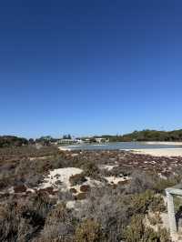 Rottnest Island Cycling Guide
