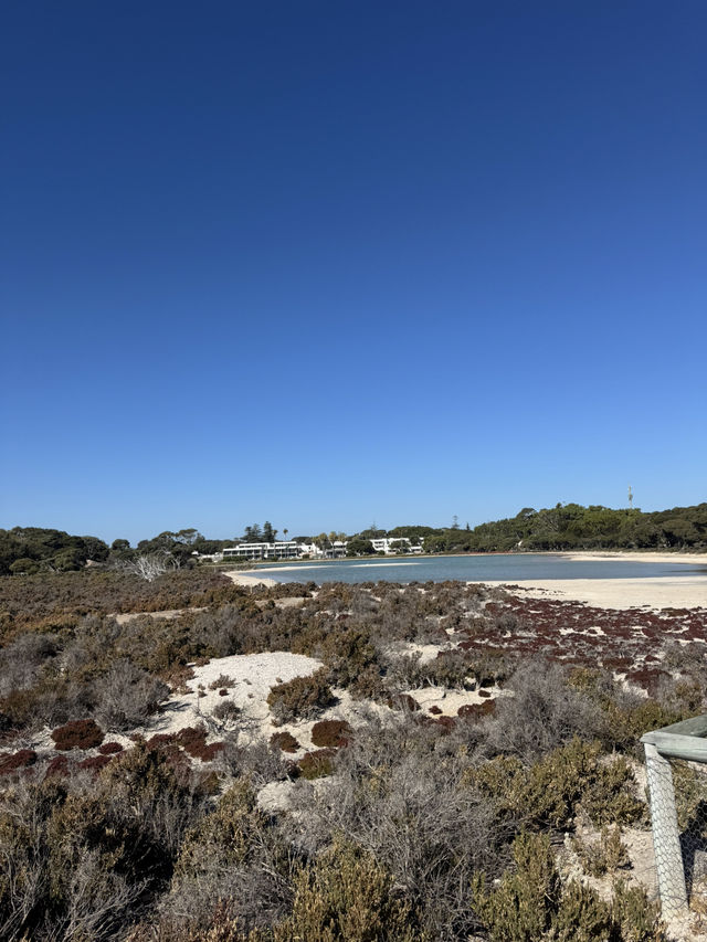 Rottnest Island Cycling Guide