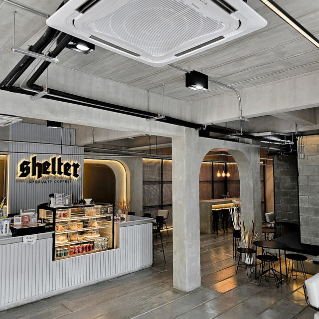Shelter Specialty Coffee 🍵☕️