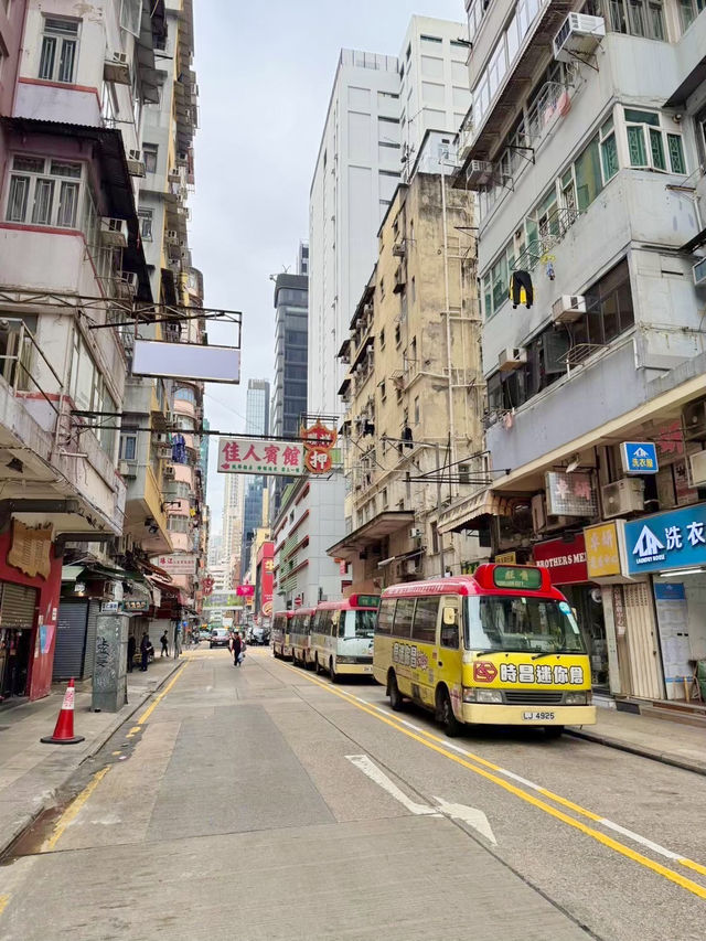 ［香港旅遊］通菜街🧺、花園街🌸、金魚街🐟-最具港風的市井街道🇭🇰體驗香港的人間煙火💯