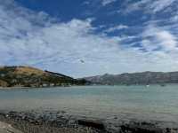 紐西蘭🇳🇿一段充滿冒險的旅行