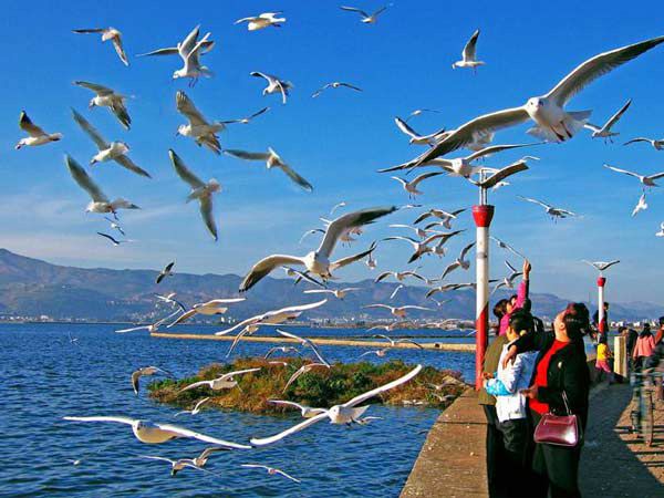 "Kunming: The City of Eternal Spring"