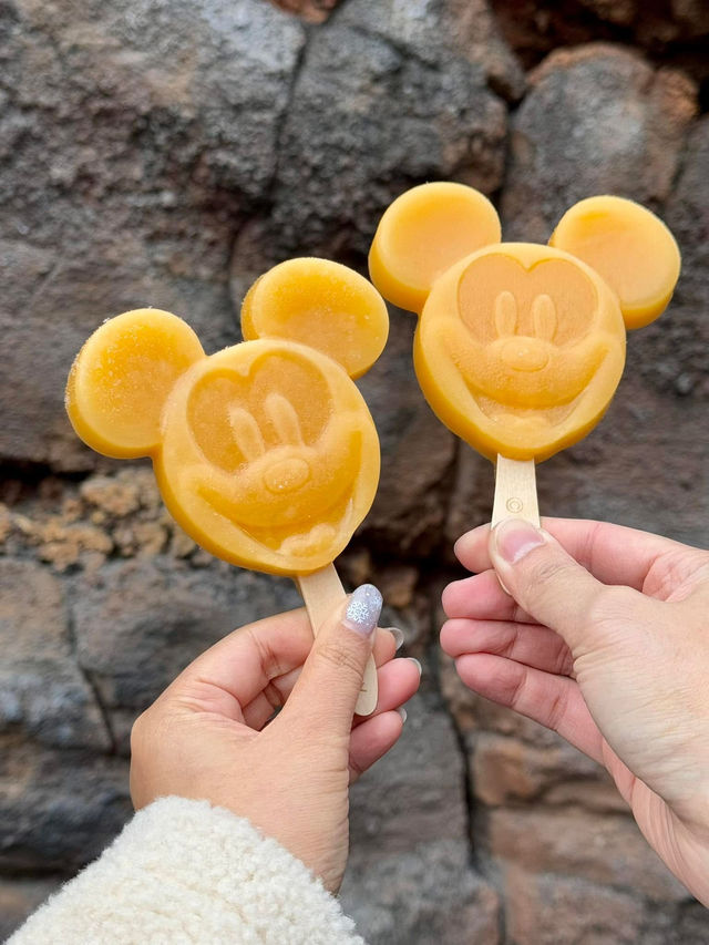 [Japan] รีวิวไปเที่ยวโตเกียวดิสนีย์แลนด์วัย 30+