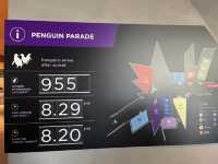 🇦🇺澳洲限定企鵝歸巢奇景🐧