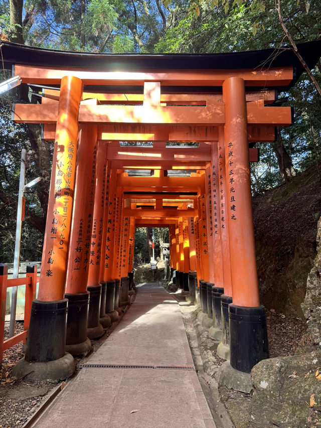 Kyoto - Điểm dừng mùa thu không thể bỏ 