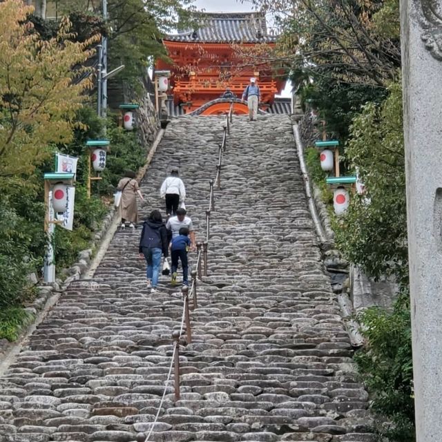 道後のいいとこご紹介