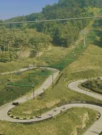 Skyline Luge Korea: Thrill and Scenic Views in One Ride