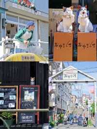 東京逛不完~🐈无意中发现的🐱城🐈