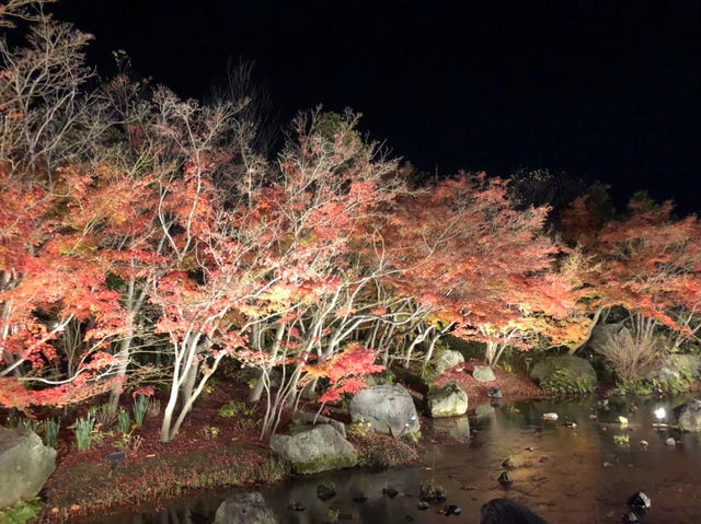 三重県🇯🇵なばなの里