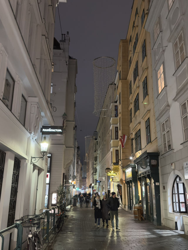 Vienna: A Winter Wonderland of Culture a