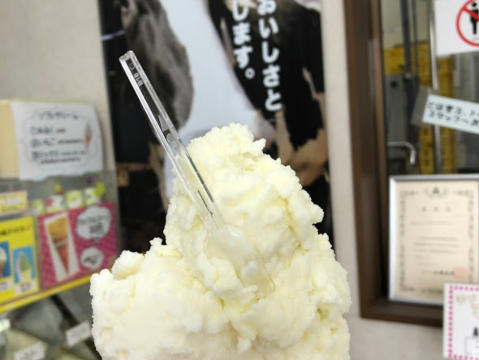 新鮮なジェラート🤍【みるく工房タンポポ 長坂牧場内工場・直売店