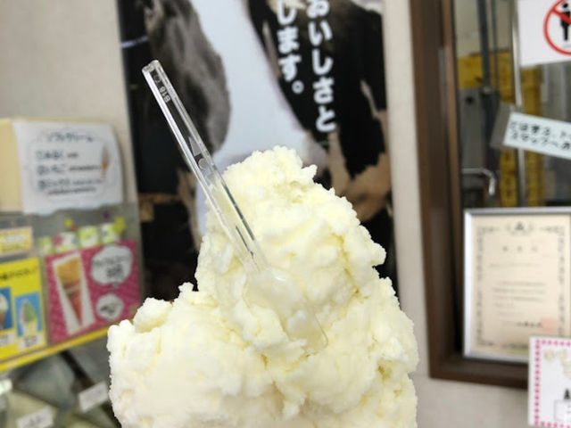 新鮮なジェラート🤍【みるく工房タンポポ 長坂牧場内工場・直売店】