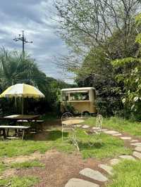 Tangerine picking cafe 