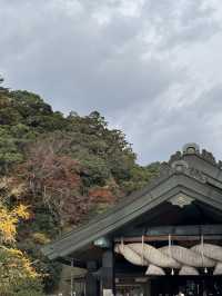 出雲大社：神話與信仰的聖地⛩️✨