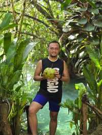 Laidback and Chill at Tropical Temple Siargao