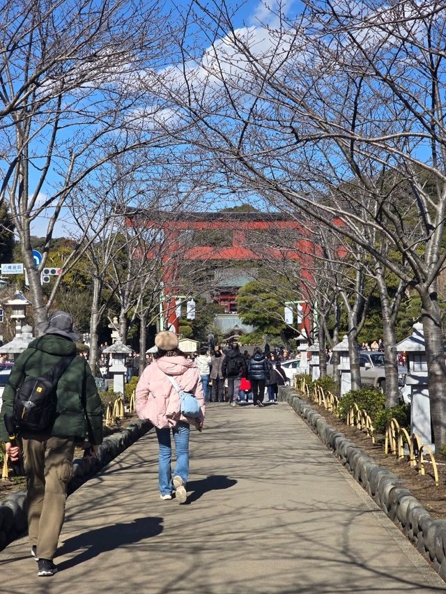 鎌倉ぶらり旅