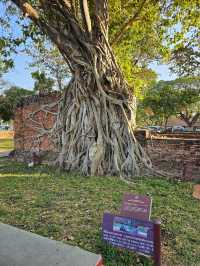 วัดมหาธาตุ – วัดโบราณที่สะท้อนความรุ่งเรือง